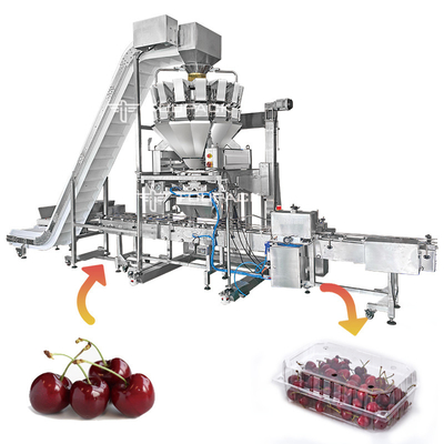 Linear Automatic Filling Machine Cherry Blueberry Strawberry Tray Box Packaging Machine