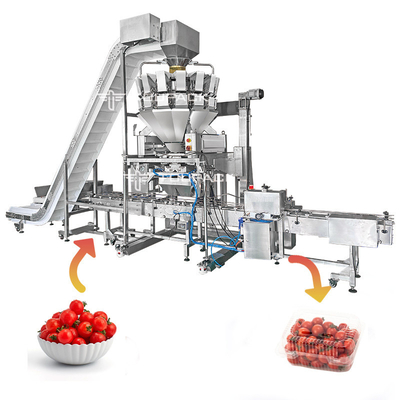 Adjustable Platform Automatic Filling Machine 110BPM Tomato Weighing And Boxing Cartoning System