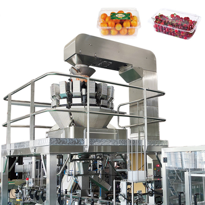 Accuracy Automatic Multihead Weigher Servo Motor Driving Fruits Vegetables Salad Packing Machine