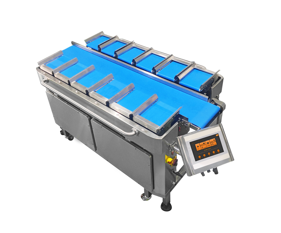 12 Belt 160 Combination Weigher For Fruit Vegetable Aquatic Products