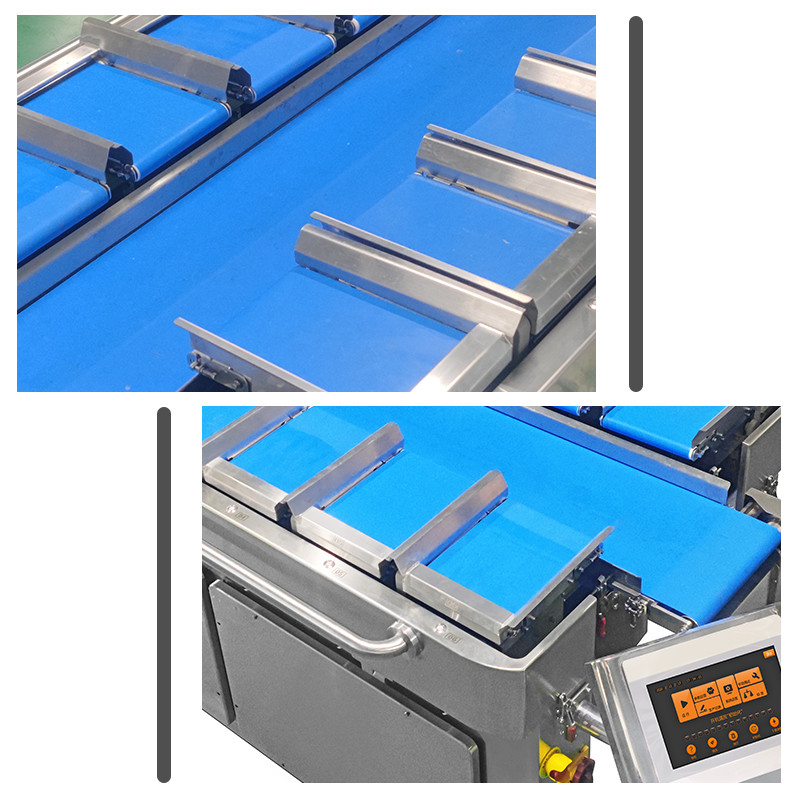 Convey Belt Orange Durian Packaging Weight Combination Scale For Fruit And Vegetable