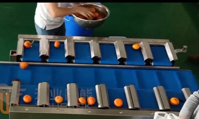 40BPM 10 Head 14 Head Fruit Multihead Weigher Tangerine Orange Belt Conveyer Weighing