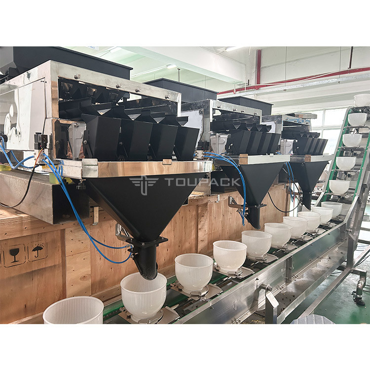 Mixed Nuts And Dried Fruits Linear Weigher Packing Machine With Conveyor Pre-Made Bag Packing Machine