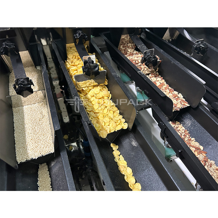 Mixed Nuts And Dried Fruits Linear Weigher Packing Machine With Conveyor Pre-Made Bag Packing Machine
