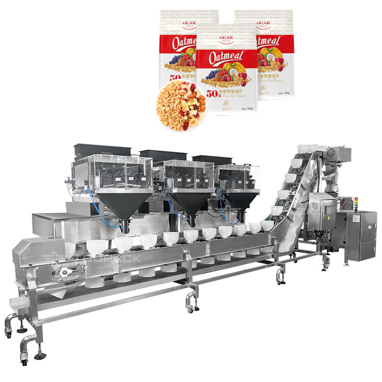 Mixed Nuts And Dried Fruits Linear Weigher Packing Machine With Conveyor Pre-Made Bag Packing Machine