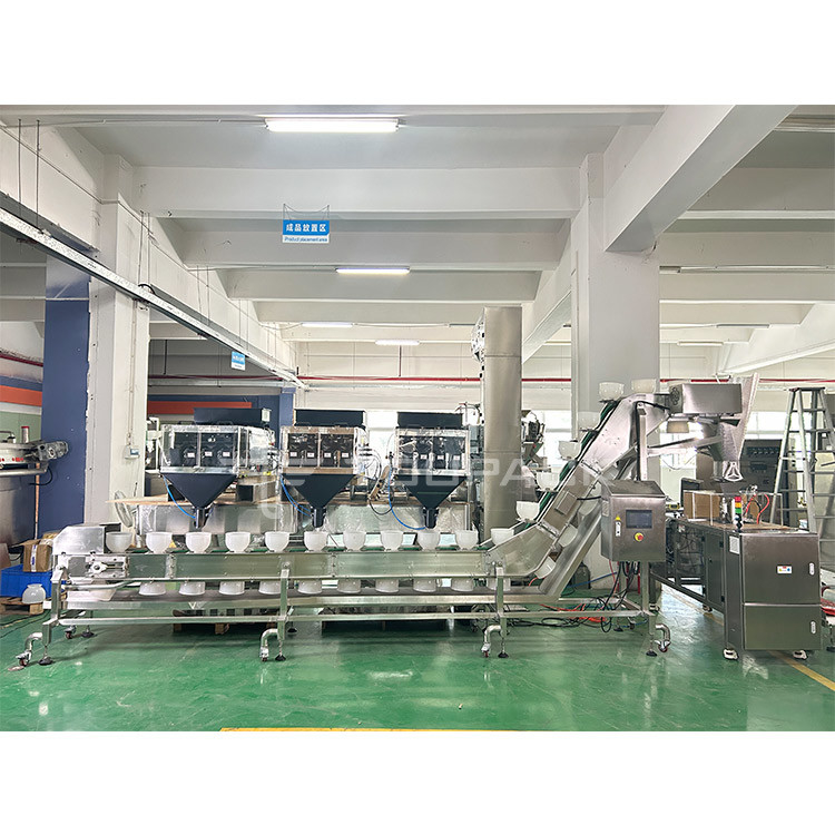 Mixed Nuts And Dried Fruits Linear Weigher Packing Machine With Conveyor Pre-Made Bag Packing Machine