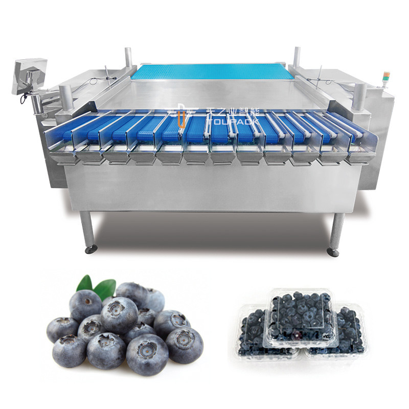 Automatic Passion Fruit Kumquat Winter Jujube Plastic Box Packaging Machine Blackberry Weighing Filling Packaging Line