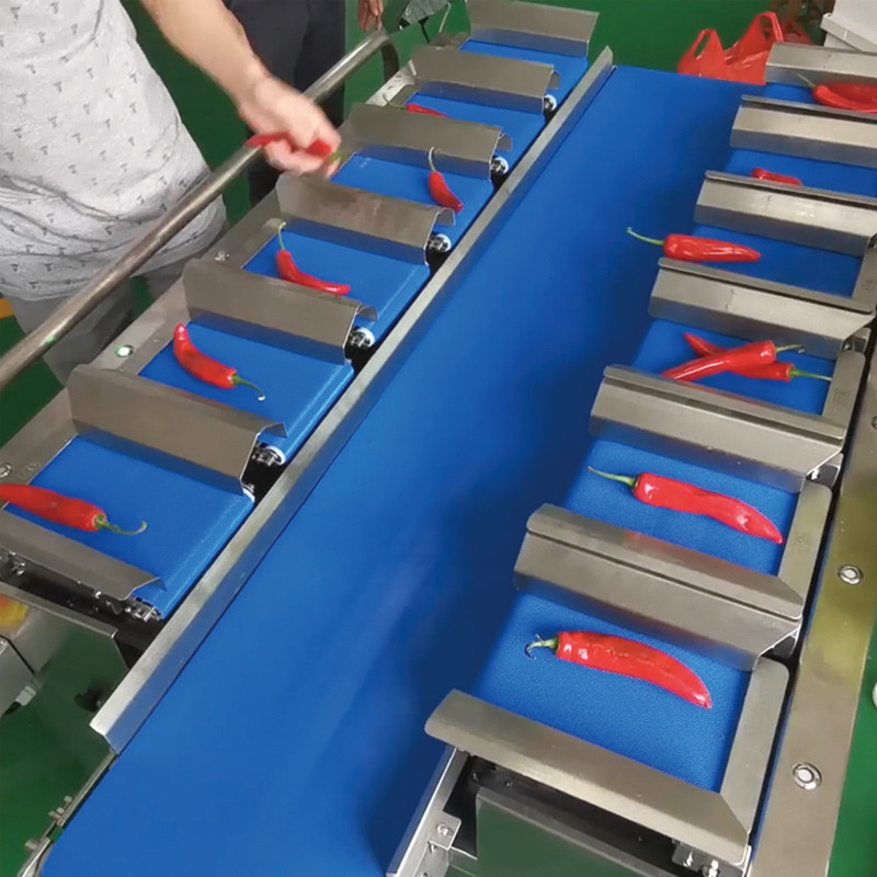 Dried Mango Automatic Multi-Station Belt Conveyor Aquatic Sea Cucumber Fish Fillet Tabletop Target Weight Counterweight Machine