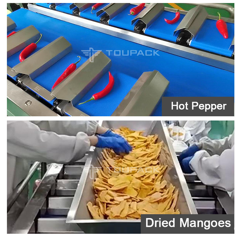 Fruit Scale Automatic Combination Scale Quantitative Counterweight Weigher Check Weight Conveyor Scale Belt