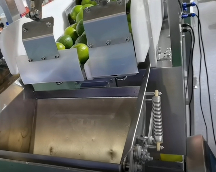 Stainless Steel 304/316 Net Packaging Machine with 220V Power and 1.5 Years Warranty