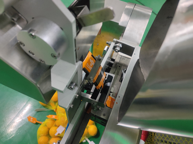 Automatic Net Bag Packing Machine Weighing Range 3g-5000g for Packing Vegetables Fruits Ginger Potatoes Citrus Fruits