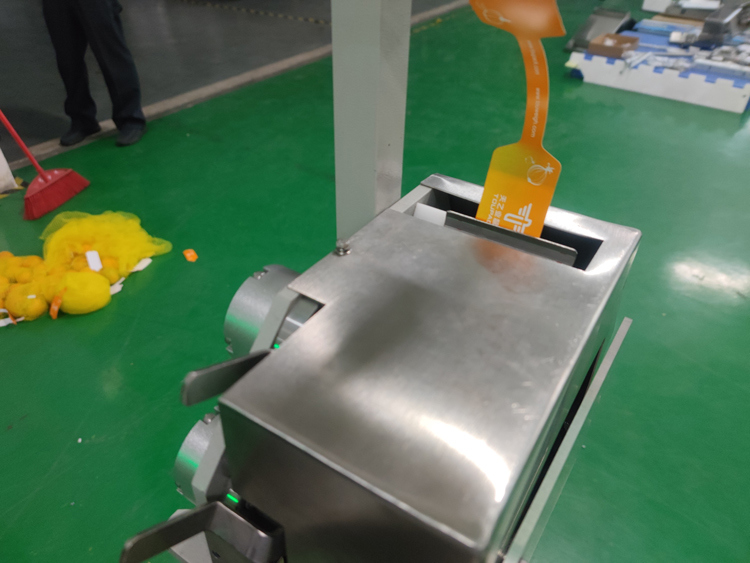 Automatic Net Bag Packing Machine Weighing Range 3g-5000g for Packing Vegetables Fruits Ginger Potatoes Citrus Fruits