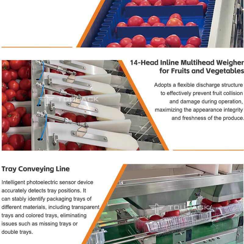 Linear Weigher Automatic Cherry Tomato Fruit Vegetable Tray Sealing Packaging Line With High Precision Weighing System