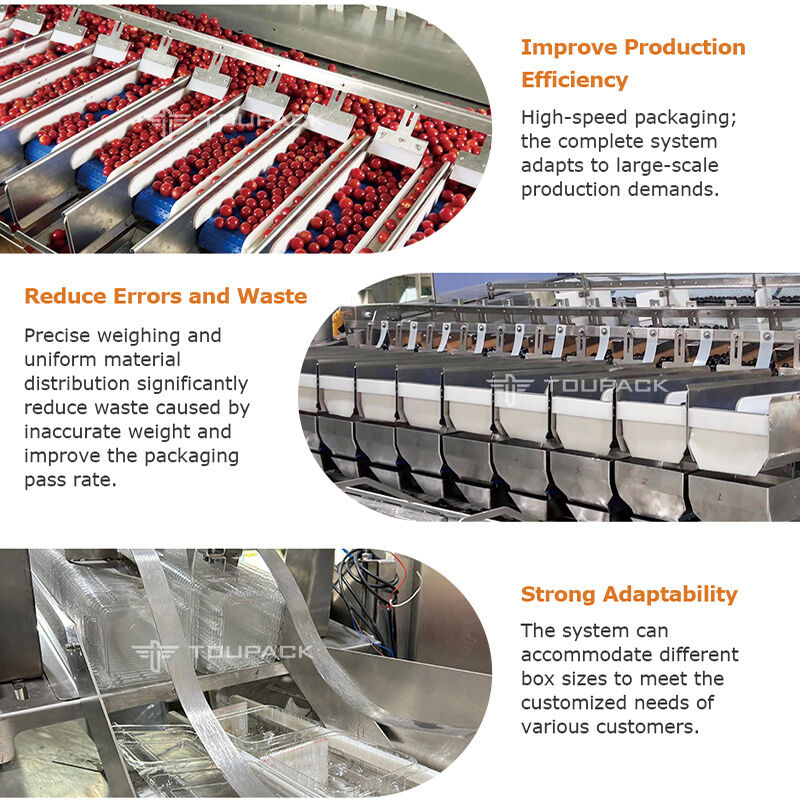 Linear Weigher Automatic Cherry Tomato Fruit Vegetable Tray Sealing Packaging Line With High Precision Weighing System