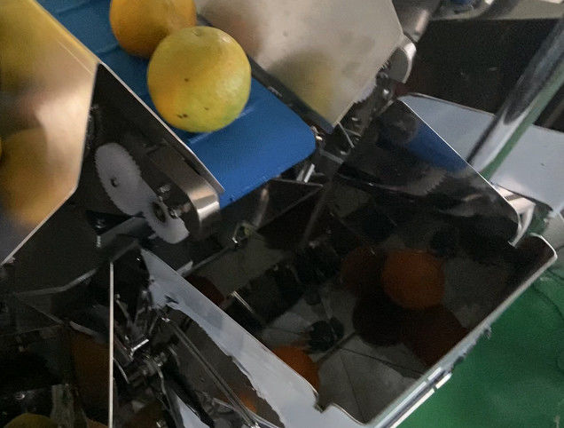 Exquisite 16 head vegetable and fruit combination scale, large capacity five liter hopper, stainless steel, waterproof