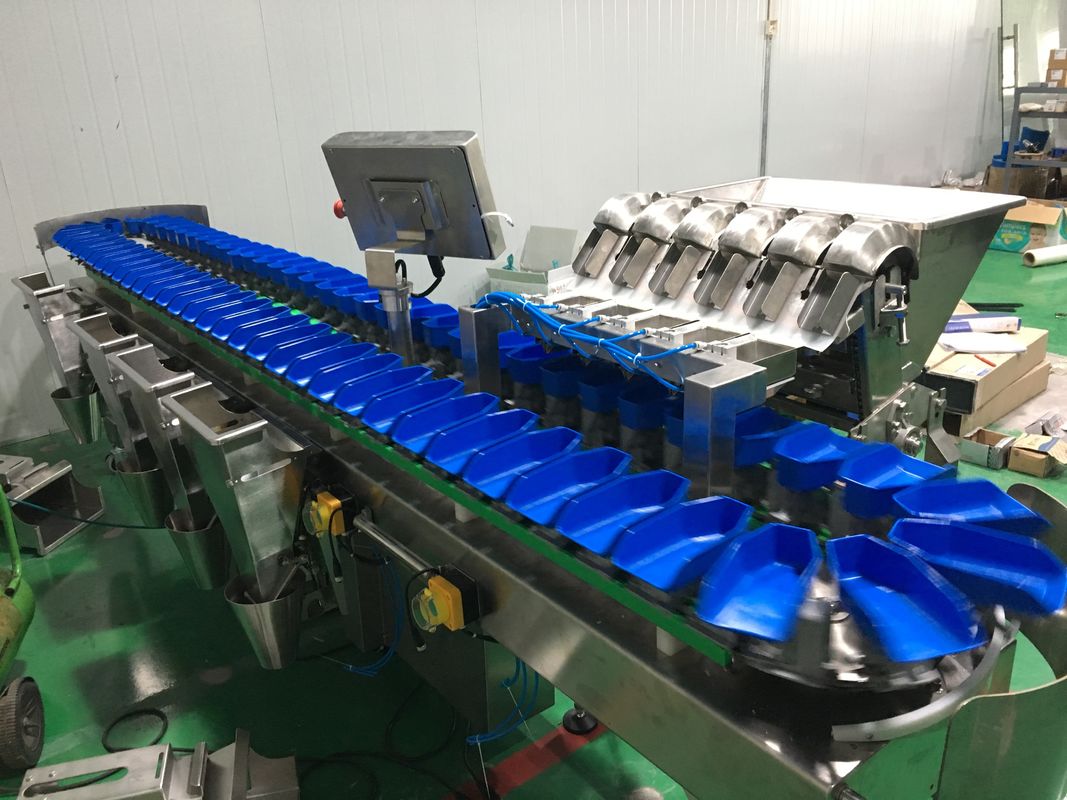 Conveyor Belt Weight Sorting Machine Chicken Wing Fish Grader Circular Multi Weight Sorting Machine With Conveyor Belt