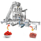 Fresh Fruit Packing Automatic Multihead Weigher Granule Little Tomato Filling Machine
