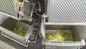 Automatic Vegetable And Fruit Tray Packing Machine Food Snack Multifunction Packaging Machine
