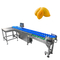 Stainless Steel 304 Automatic Size Sorting Machine For Mango Fruit Vegetables Grading