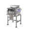 Double Head Linear Weigher Stainless Steel 304 Combination Packing For Small Granule