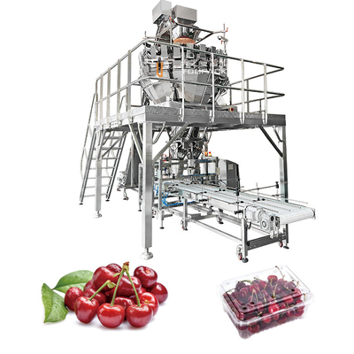 Automatic Fruit Vegetable Carrot Citrus Raspberry Nectarines Tray Horizontal Packing Packaging Machine
