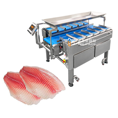 Multi-Function Combination Weigher Scale Fixed Weight Conveyor Belt Packing Machine For Food New Generation Conveyor Belt Scale