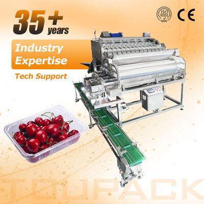 Linear Weigher Automatic Cherry Tomato Fruit Vegetable Tray Sealing Packaging Line With High Precision Weighing System