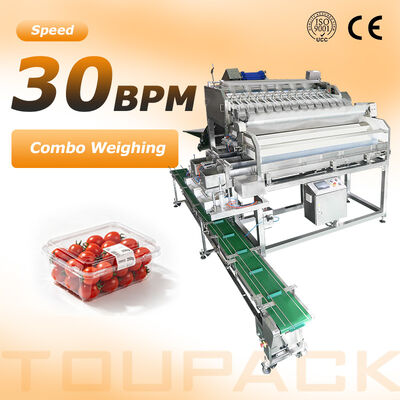 Fruit Tray Sealing Packaging Line | With Automatic Tray Denester & Fruit Linear Weigher