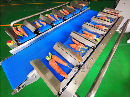 Carrot Vegetables IP65 12 Belt Fruit Multihead Weigher