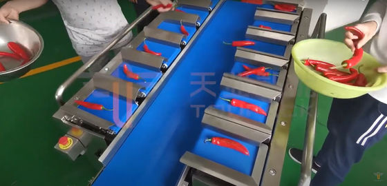 Chili Carrot Food Grade Siemens Belt Weigher For Irregular Product