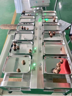 Tabletop Food Combination Weigher 12 Head Weighing Scale Stainless Steel 304