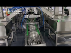 TOUPACK Pet Food Weighing and Packaging System