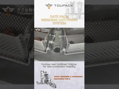 Customization Date Palm Box Packing Line Granule Filling Machine Automatic Production Assembly Line