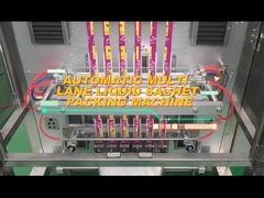 TOUPACK Multi-Lane Back Seal Packaging Machine Granular powder liquid Packing Machine