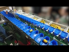 TOUPACK 1-6 Level Weight Sorting Machine For Mango