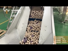 TOUPACK Frozen Meatball Weighing and Packaging System