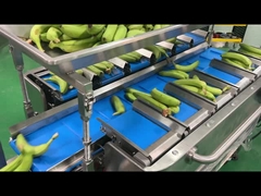 Factory Industry Semi Auto Mesh Net Bag Weighting Counting Netting Clipping Packing Packaging Machin