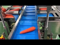 Semi Auto Carrot Weighing And Packaging Machine Vegetable Mesh Bag Packing Machine