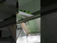 salad multihead weighing packaging machine