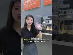 Valve Bags Weighing Fill Machine