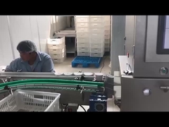 Automated Electronics X-Ray Inspection Machine For Food Industry X Ray Inspection System