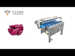 TOUPACK belt multihead weigher for accurate weighing of sweet potatoes