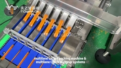 Industrial Multi Lane Stick Sachet Packing Machine with multi lane checkweigher