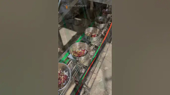 Parrot Food Pet Food VFFS Nuts Granule Freeze Dried Fruit Packaging Machine For Dried Fruits