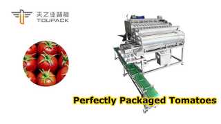 High-Efficiency Automated Weighing & Packaging System for Cherry Tomatoes & Small Fruits